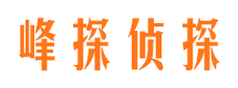 班戈市侦探公司